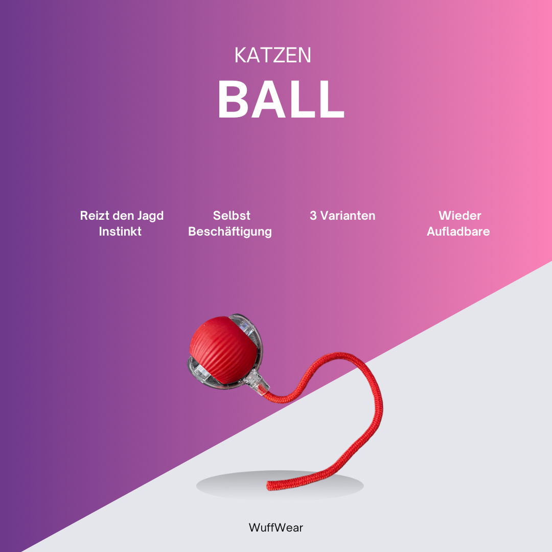 Katzen Ball
