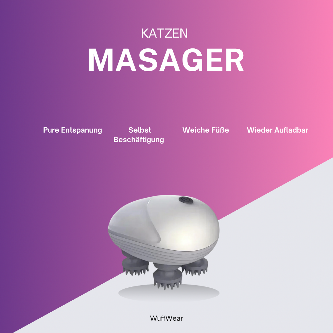 Katzen Massage